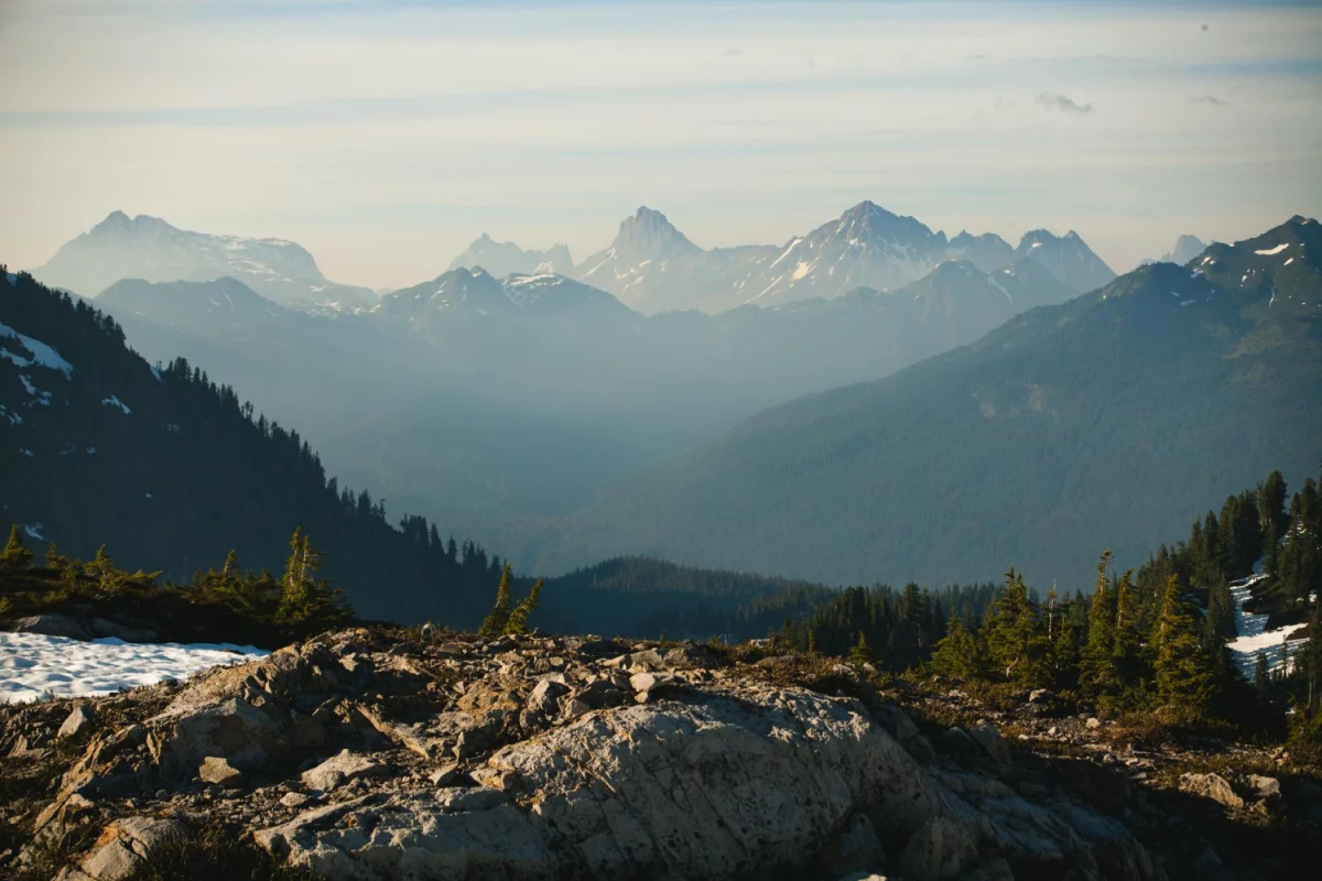 Jak  chronić środowisko i czy 2022 będzie inny?