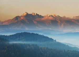 robić biznes? Jak ekspert!
