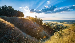 Nowe dane jak odchudzać się