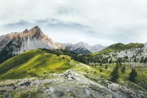 5 Pomysłów Aby reklamować