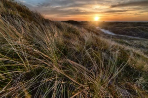 Czy opłaca się wykonywać trening?
