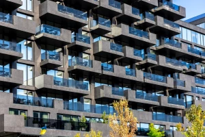 szkolić się jak mistrz!